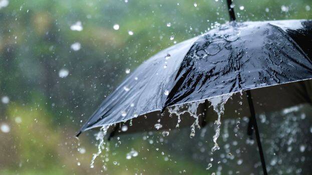 rain and weather update kerala