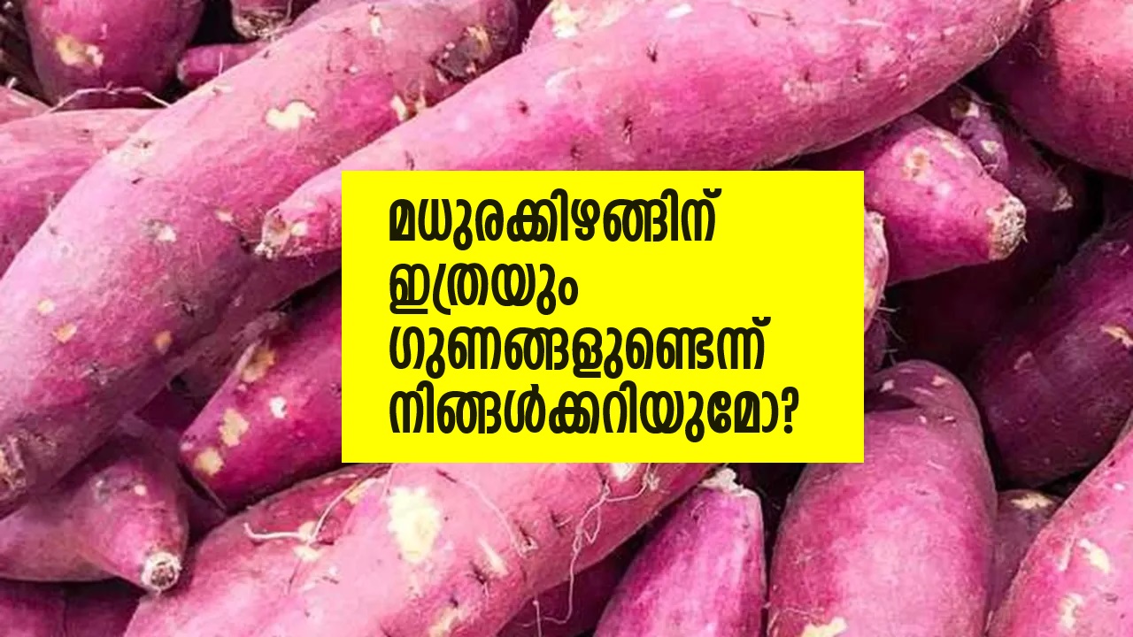 image 59 മധുരക്കിഴങ്ങിന് ഇത്രയും ഗുണങ്ങളുണ്ടെന്ന് നിങ്ങള്‍ക്കറിയുമോ?