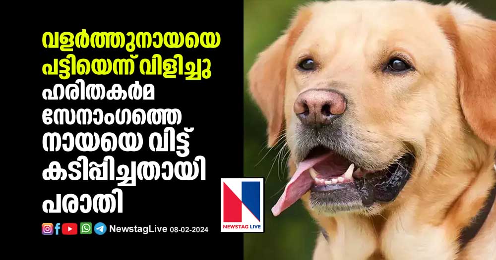 haritha-karma-sena-member-was-bitten-by-dog