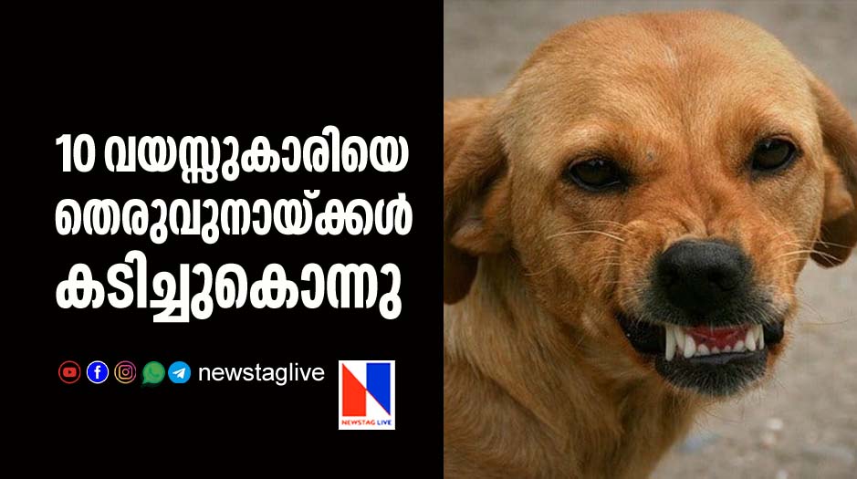 10 year old girl mauled to death by stray dogs