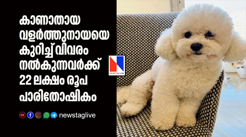 22 lakh reward for missing cockappoo