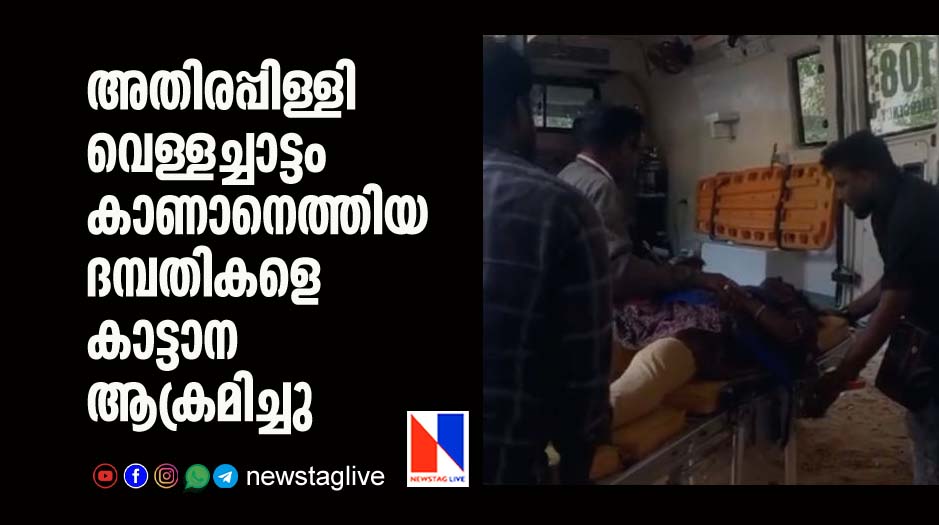 couples attacked by wild elephant in athirappilli