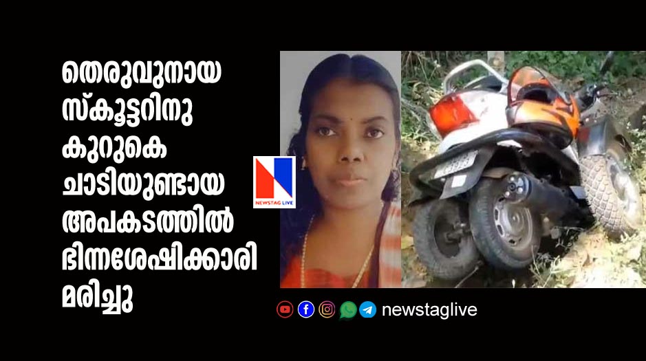 differently abled woman dies after stray dog crossed her scooter
