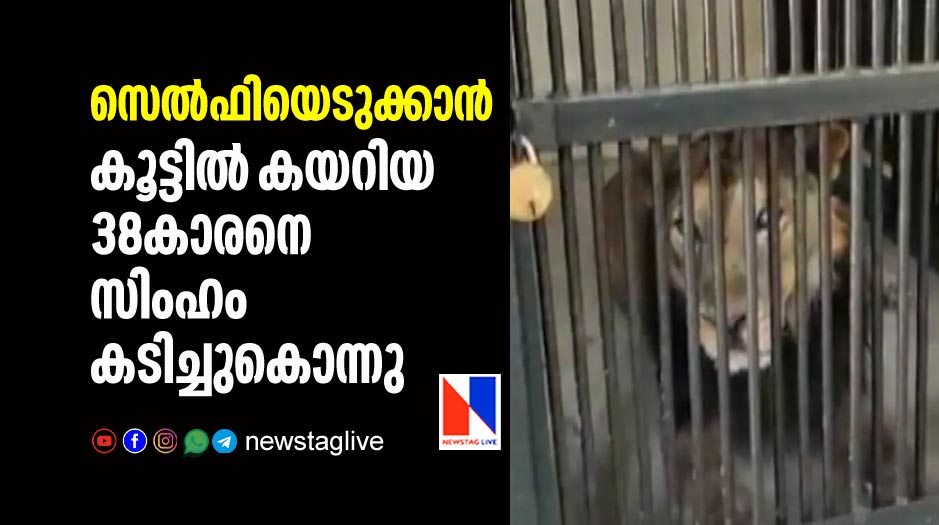 man mauled to death after he enters lions cage for taking selfie