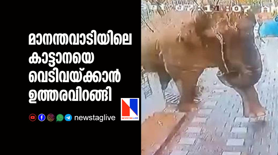 order issued to shoot wild elephant in mananthavadi