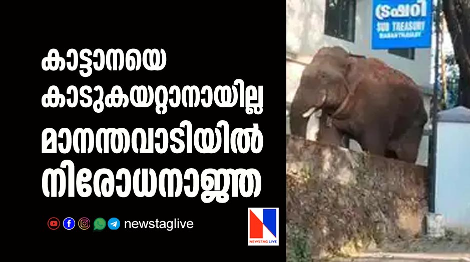 കാട്ടാനയെ കാടുകയറ്റാനായില്ല; മാനന്തവാടിയില്‍ നിരോധനാജ്ഞ