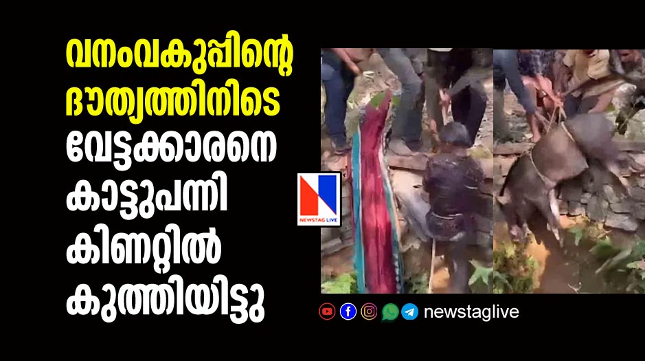 wildboar attacks forest shooter during hunting