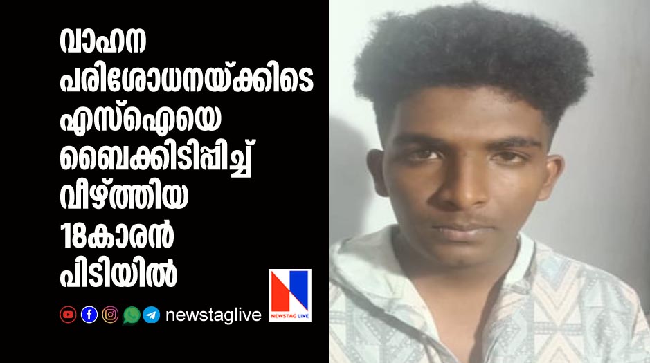 18-year-old arrested for hiting down SI during vehicle inspection