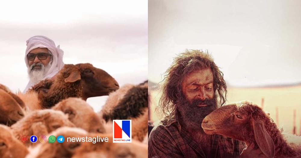 aadujeevitham fake copy