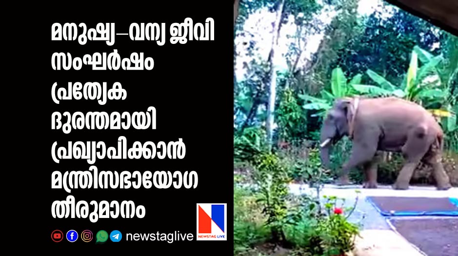 human wildlife clash declares as special calamity by kerala cabinet