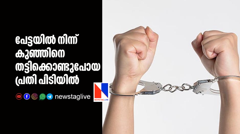 man caught by police who kidnaped 2 year old girl from petta