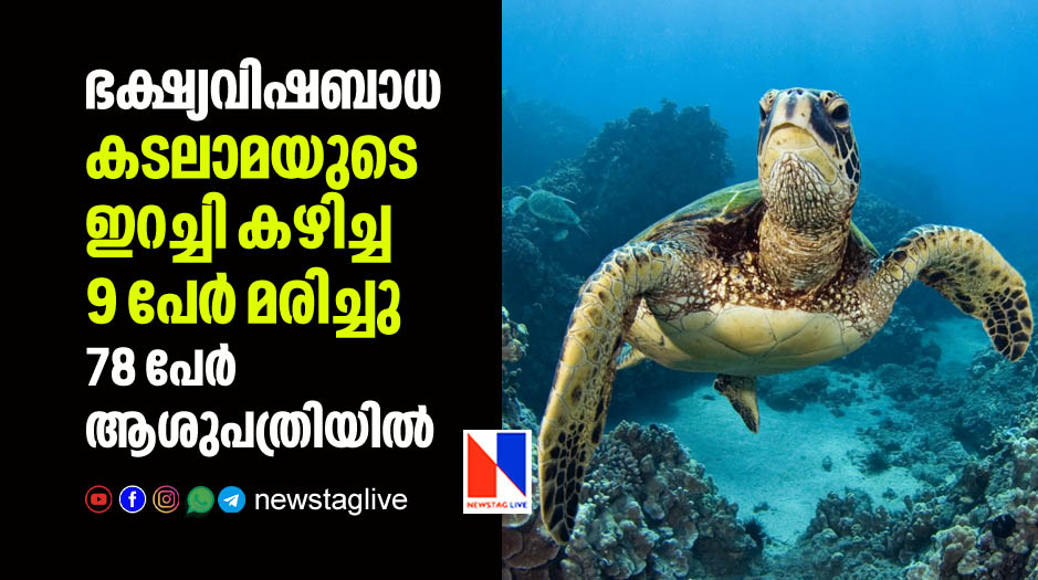 nine dies after eating sea turtle meat