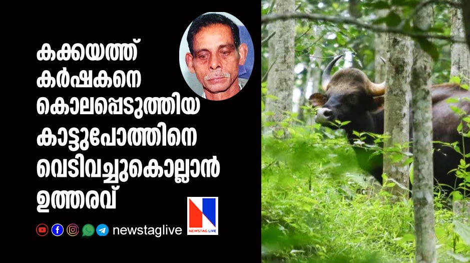 order issued to shoot bison in kakkayam