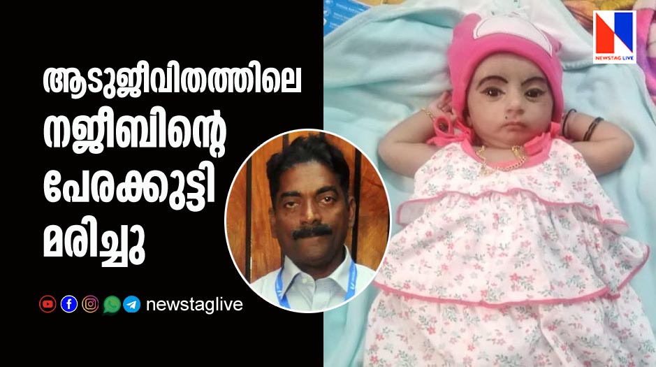 safa mariyam grand daughter of najeeb dies