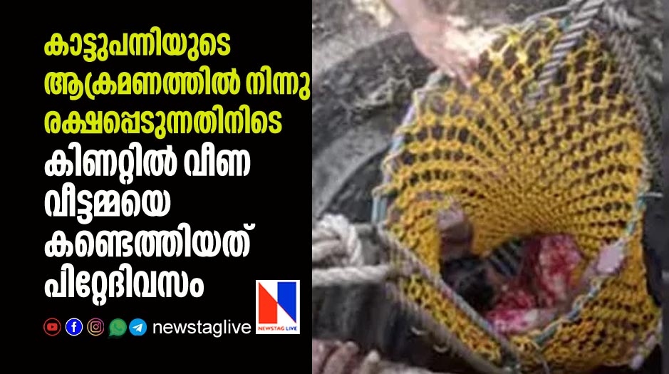 woman fall in well while escaping from wild boar attack