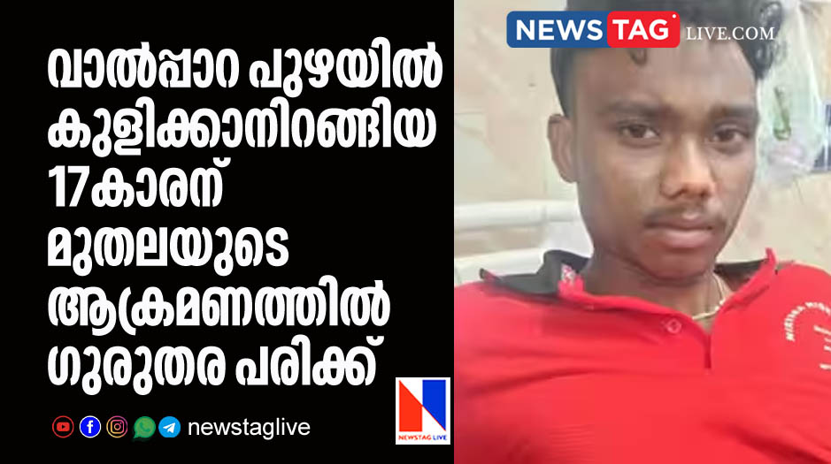 17 year old boy brutally attacked by crocodile at Valpara River