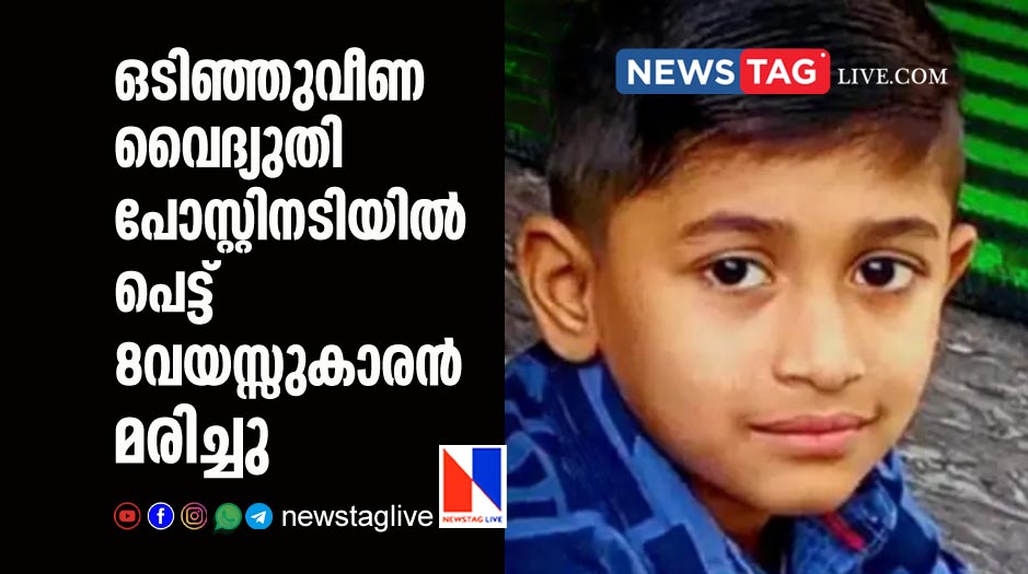 8 year old boy dies after electric post fell on him