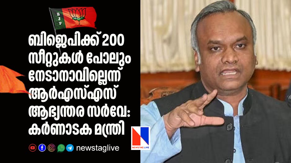BJP won't win even 200 seats as per RSS survey claims minister