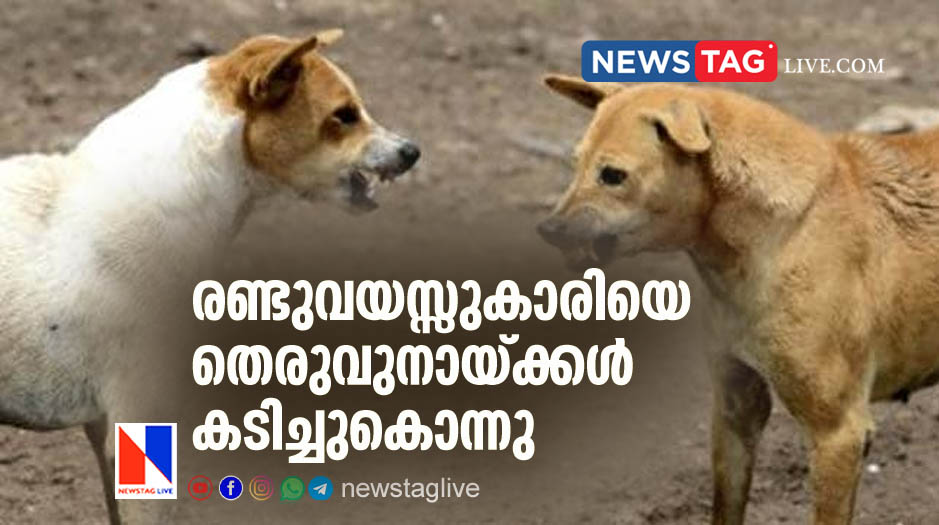 two year old girl mauled to death by stray dogs