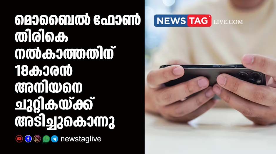 18 year old boy kills his younger brother for not giving mobile phone