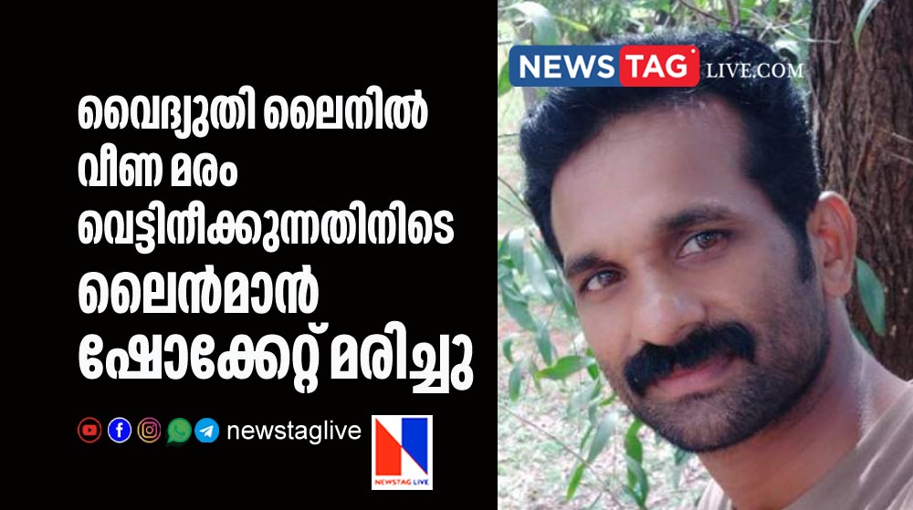 KSEB line man electrocuted in Elappara