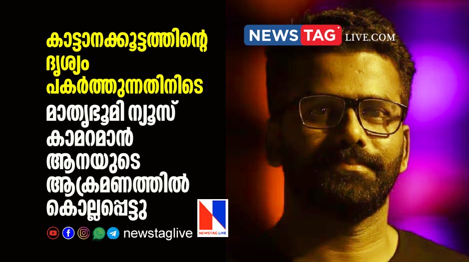 Mathrubhumi News cameraman killed in wild elephant attack during reporting