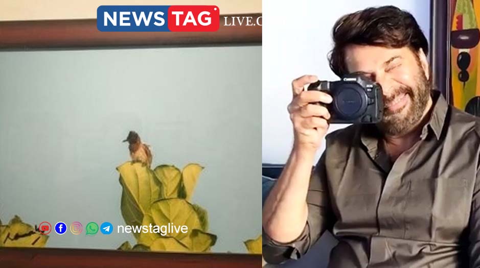 Mammootty Bulbul photo