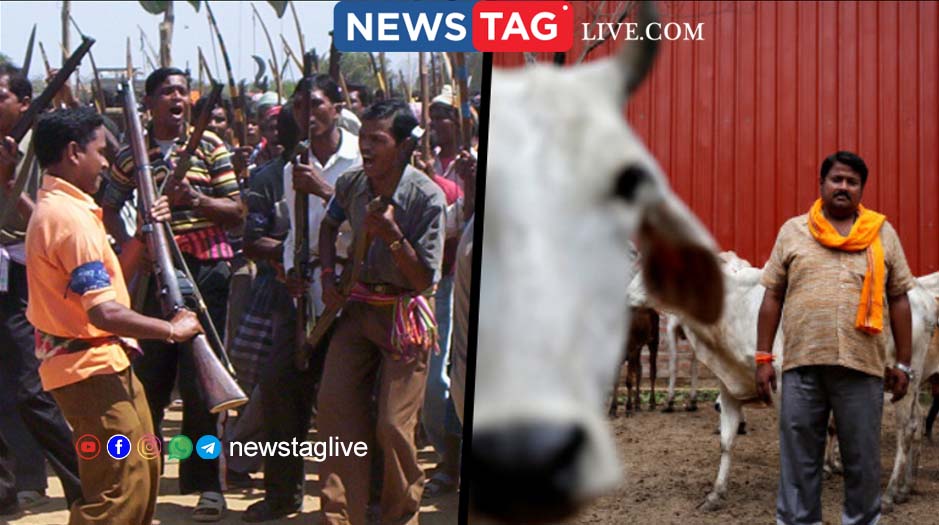 Cow vigilantism Gujarat