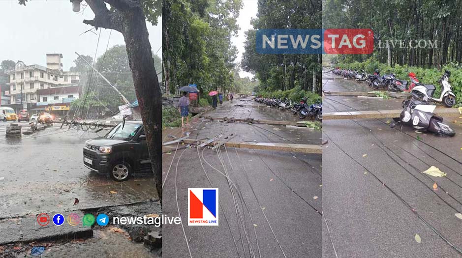 Kottayam rain and wind