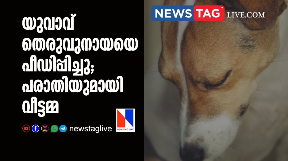 man sexually assault stray dog