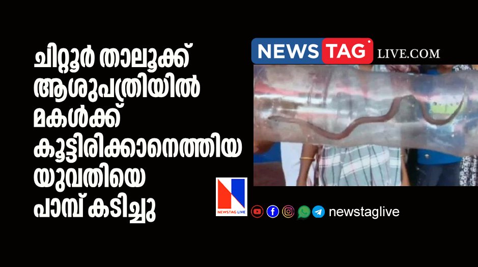 woman bite by snake in Chittoor Taluk Hospital