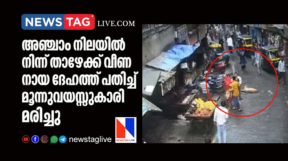 3 year old girl dies after dog fell on her from fifth floor