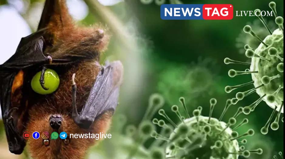 Nipa death in Malappuram; Fever survey to detect people with fever in the area