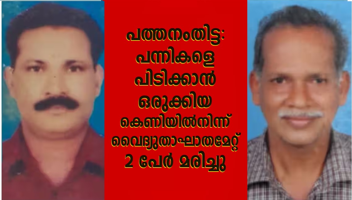 Pathanamthitta 2 people died due to electrocution from a trap set up to catch pigs
