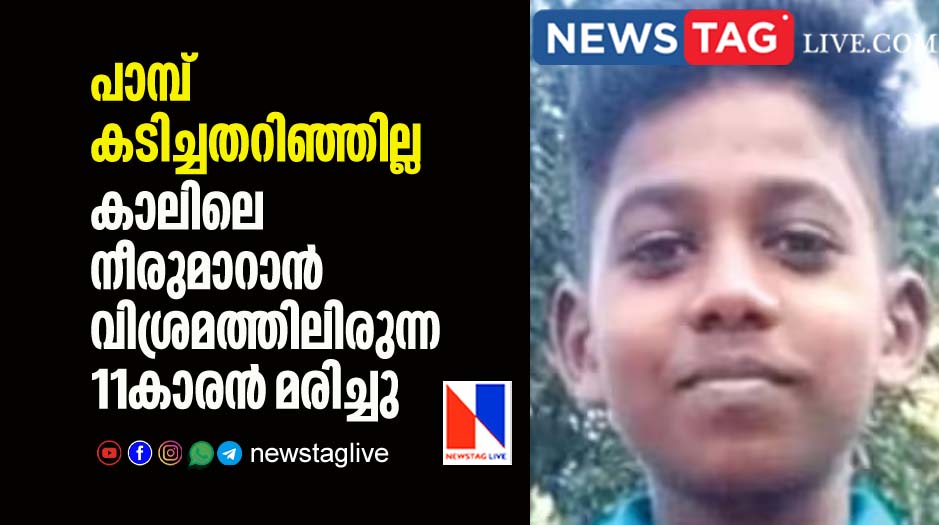 11 year old boy dies of snake bite