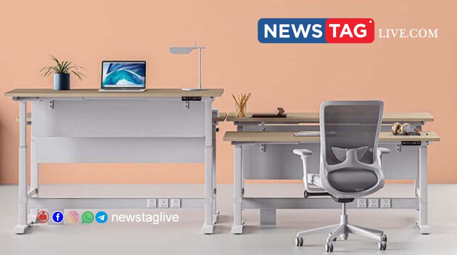 Elephant furniture fraud
