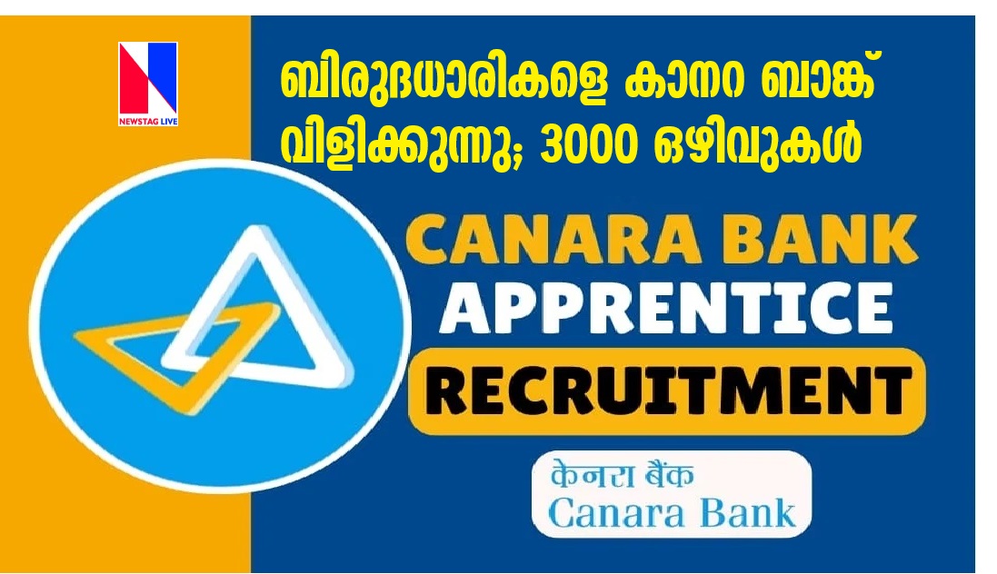 apply online canara bank apprentice 2024