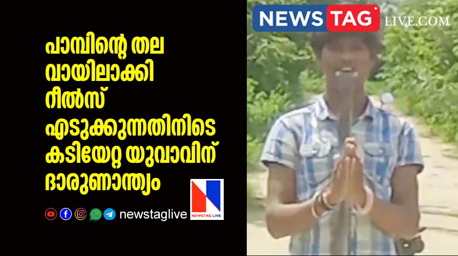 man dies after snake bite him while performing stunt with cobra