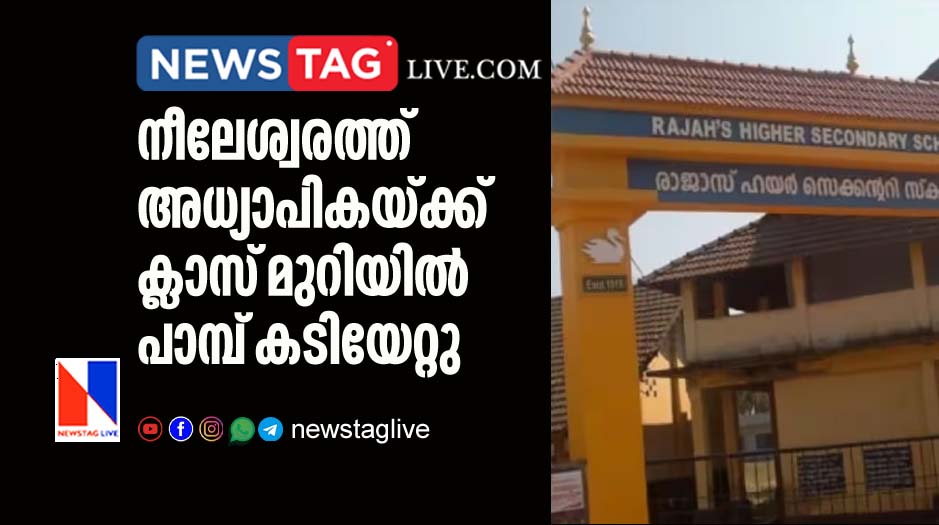 teacher was bitten by a snake in her classroom in Nileswaram