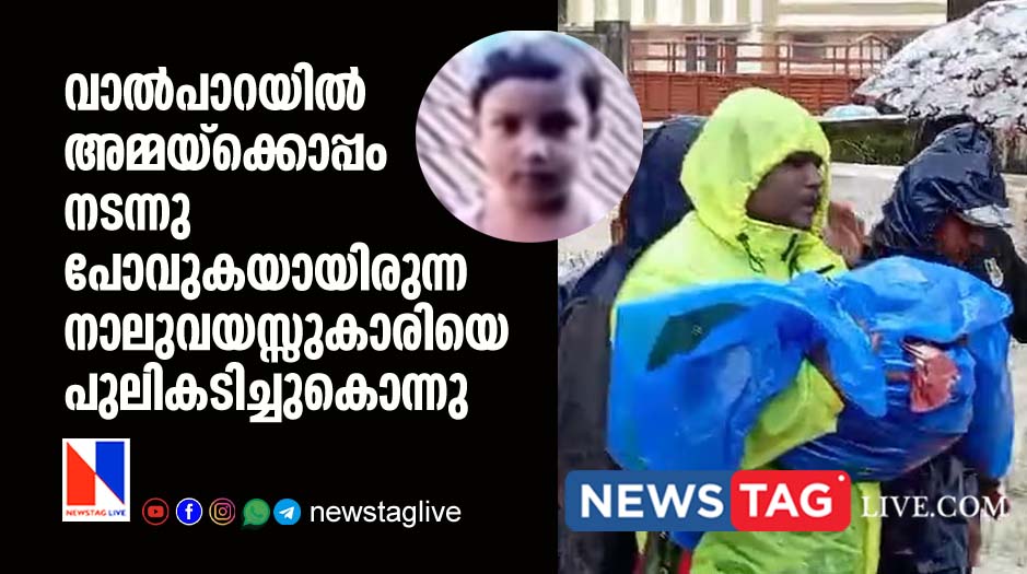 four old girl killed by leopard in Valparai