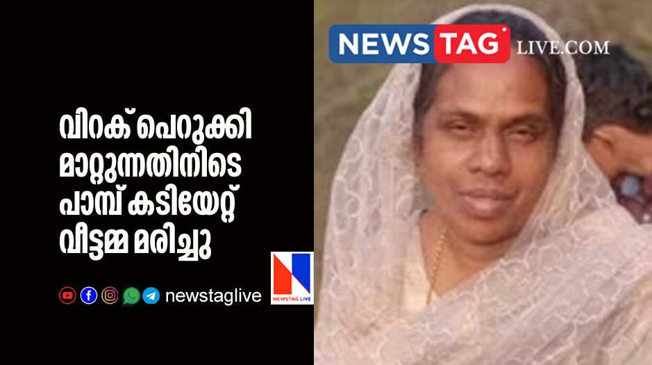 house wife dies after snake bite her while removing fire wood