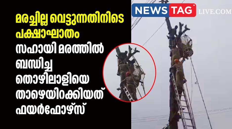 man rescued by fire force after he suffers stroke during cuting tree