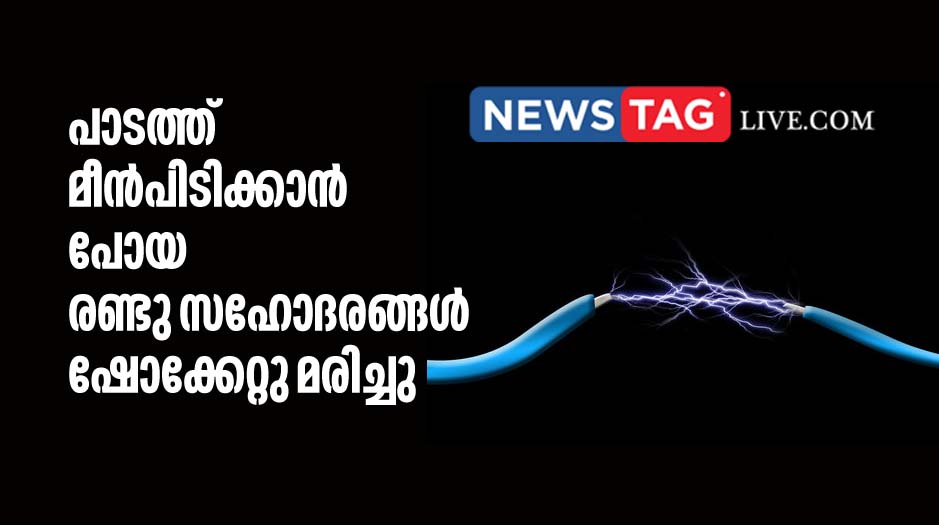 two brothers electrocuted in Thrissur from wild boar trap