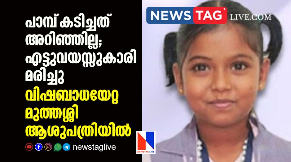 8 year old girl dies after snake bite her while sleeping