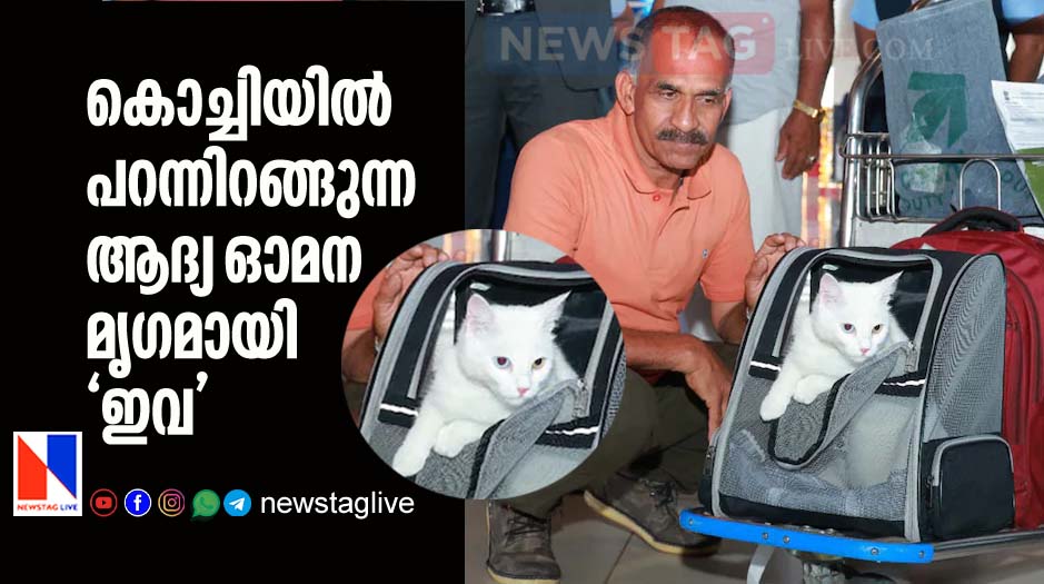 Eva became first pet animal landed in Nedumbassery Airport