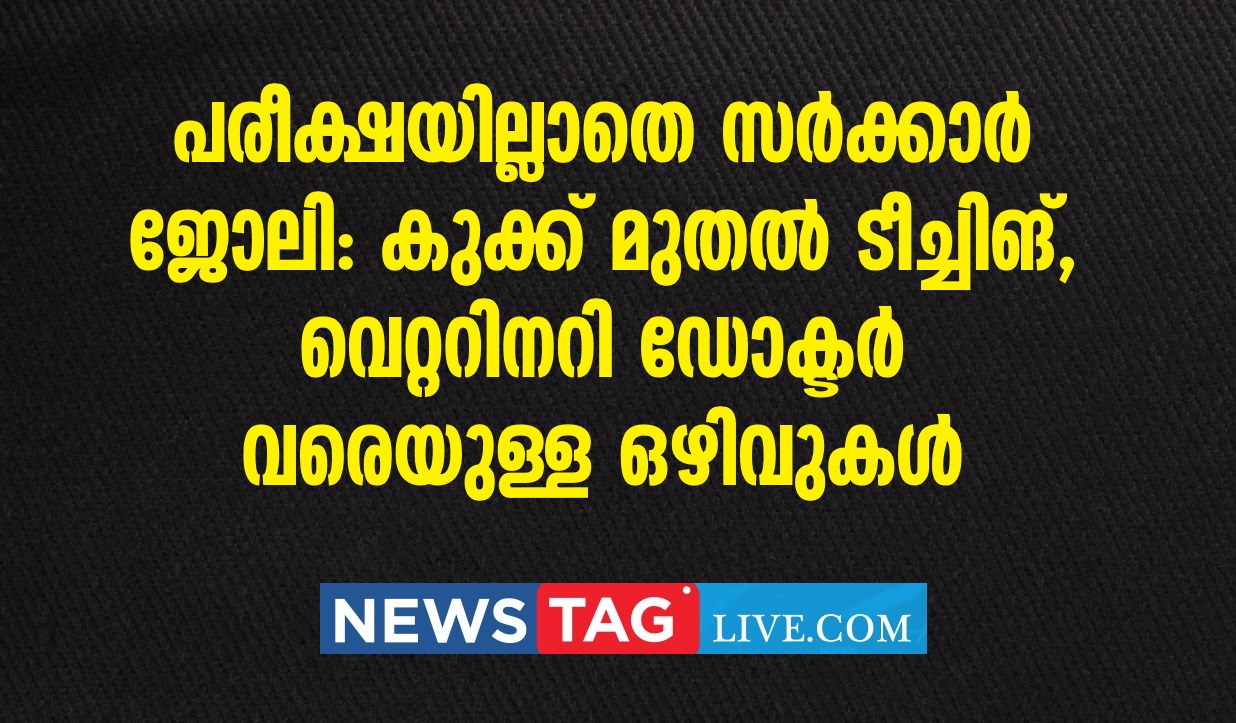 many temporary vacancies under kerala Government