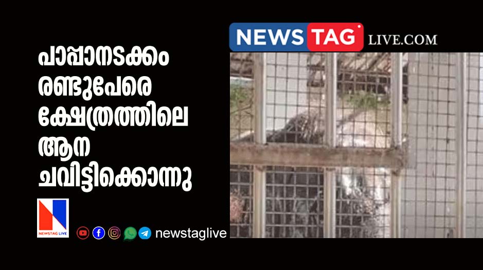 elephant killed two in temple