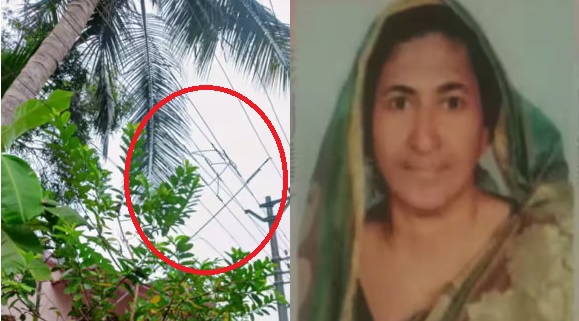 house wife electrocuted while plucking coconut