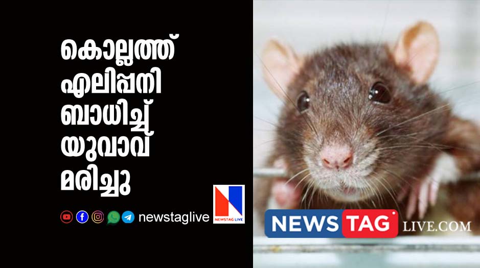 man dies in Kollam due to rat fever