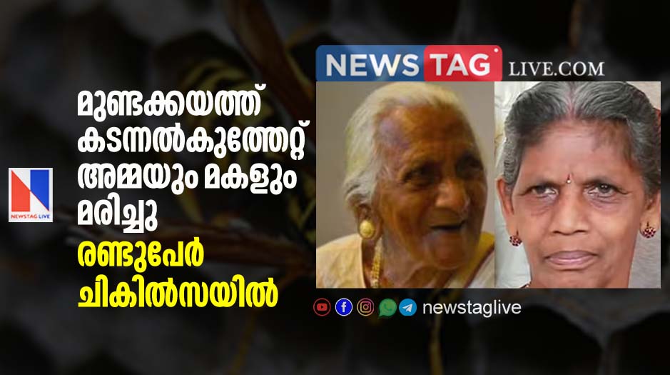 mother and daughter dies in wasp attack in Mundakkayam